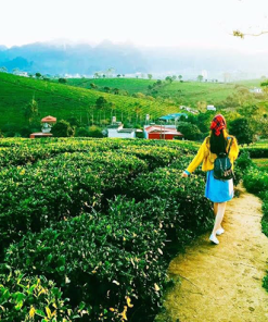 Alternative view of Tour Du Lịch Sapa - Lai Châu - Điện Biên - Mộc Châu - Mai Châu 5 Ngày 4 Đêm