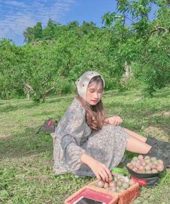 Tour Hà Nội - Mộc Châu 2 ngày 1 đêm trọn gói