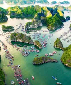 Tour Hà Nội - Cầu Tân Vũ - Đảo Cát Bà - Vịnh Lan Hạ 3 ngày 2 đêm - Tour Khách Đoàn