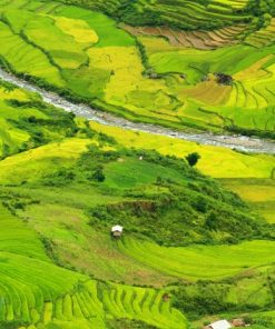Alternative view of Tour Hà Nội - Mù Cang Chải - Suối Nước Nóng Trạm Tấu - Nghĩa Lộ - Đồi Chè Thanh Sơn 3 ngày 2 đêm