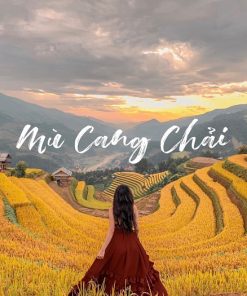 Alternative view of Tour Hà Nội - Đồi Chè Thanh Sơn - Mù Cang Chải  2 ngày 1 đêm