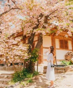 Alternative view of Du Lịch Hàn Quốc: Hà Nội - Seoul - Nami - Everland - Công Viên Yeouido - Rừng Seoul 5 Ngày Bay Vietnam Airlines