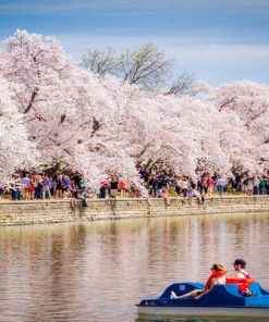 Liên Tuyến Đông Tây Hoa Kỳ: Hà Nội - New York - Philadelphia - Washington Dc - Las Vegas - Red Rock Canyon - Los Angeles - San Diego 10 Ngày Bay Eva Air