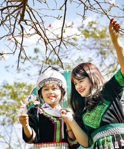 Hà Nội - Mộc Châu - Mường Phăng - Điện Biên 3 ngày 2 đêm