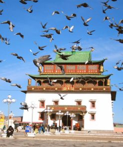 Alternative view of Du Lịch Mông Cổ: Hà Nội - Thủ Đô Ulaanbaatar - Thung Lũng Orkhon - Khoáng Nóng Tsenkher - Hồ Ugii 8 Ngày Bay Mongolia Airlines