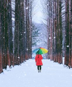 Du Lịch Hàn Quốc: Hà Nội - Seoul - Đảo Nami - Lotte World - Trượt Tuyết Elysian 5 Ngày Bay Jeju Air