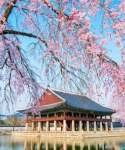 Du Lịch Hàn Quốc: Hà Nội - Seoul - Nami - Everland - Công Viên Yeouido - Rừng Seoul 5 Ngày Bay Vietnam Airlines