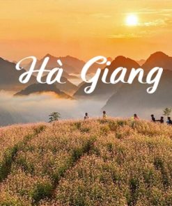 Du Lịch Hà Giang: Hà Nội - Hà Giang - Quản Bạ - Đồng Văn - Bản Lô Lô Chải - Cột Cờ Lũng Cú - Mèo Vạc - Sông Nho Quế 3 Ngày 2 Đêm