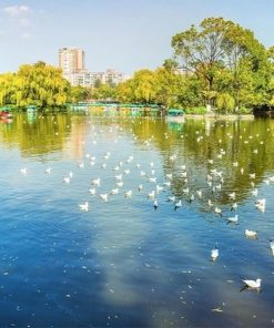 Alternative view of Du Lịch Trung Quốc: Hà Nội - Hà Khẩu - Thạch Lâm - Côn Minh - Kiệu Tử Sơn - Kiến Thuỷ - Mông Tự 5 Ngày đi Ô tô