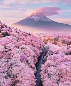 Du Lịch Nhật Bản: Hà Nội - Osaka - Kyoto - Shirakawago - Takayama - Núi Phú Sỹ - Tokyo - Ngắm Hoa Anh Đào Nở Sớm 6 Ngày Bay Vietnam Airlines