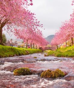 Du Lịch Nhật Bản: Hà Nội - Tokyo - Núi Phú Sĩ - Nagoya - Kyoto - Osaka 6 Ngày Bay Vietnam Airlines