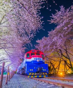 Du Lịch Hàn Quốc: Hà Nội - Busan - Gyeongju - Seoul - Đảo Nami - Tàu Điện - Ngắm Hoa Anh Đào 6 Ngày Bay Vietnam Airlines