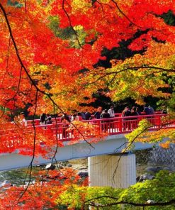 Du Lịch Nhật Bản: Hà Nội - Osaka - Kobe - Kyoto - Núi Phú Sĩ - Tokyo 6 Ngày Bay Vietnam Airlines