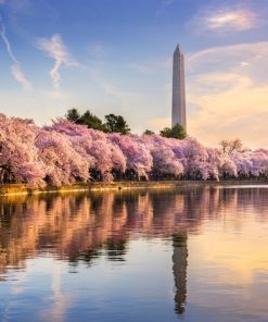 Liên Tuyến Đông Tây Hoa Kỳ: Hà Nội - New York - Philadelphia - Washington Dc - Las Vegas - Red Rock Canyon - Los Angeles - San Diego 10 Ngày Bay China Airlines 5*