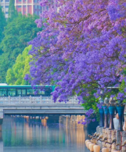 Alternative view of Du lịch Trung Quốc: Hà Nội - Côn Minh - Đại Lý 4 Ngày đi Tàu cao tốc + Ô tô (No Shopping)