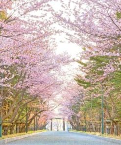 Du Lịch Nhật Bản: Hà Nội - Tokyo - Hokkaido - Noboribetsu - Sapporo - Otaru - Ngắm Hoa Anh Đào 6 Ngày Bay All Nippon Airways