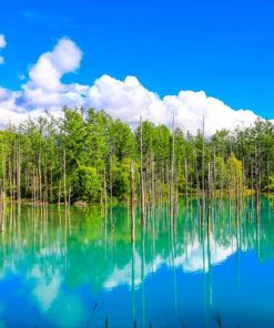 Du Lịch Nhật Bản: Hà Nội - Hokkaido - Lễ Hội Băng Tuyết Tại Chitose - Trượt Tuyết - Vườn Thú Asahikawa - Hồ Blue - Bảo Tàng Bia - Tokyo - Ngắm Hoa Anh Đào Sớm 6 Ngày Bay All Nippon Airways