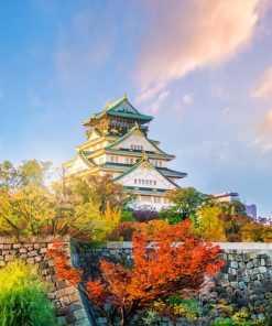 Du Lịch Nhật Bản Mùa Hè: Hà Nội - Nagoya - Nara - Osaka - Kyoto - Núi Phú Sĩ - Tokyo 6 Ngày Bay Vietnam Airlines