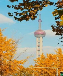 Du Lịch Trung Quốc: Hà Nội - Bắc Kinh - Tô Châu - Tây Đường - Hàng Châu - Thượng Hải 7 Ngày Bay Vietnam Airlines + Tàu Cao tốc