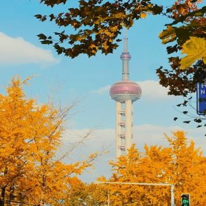 Du Lịch Trung Quốc: Hà Nội - Bắc Kinh - Tô Châu - Tây Đường - Hàng Châu - Thượng Hải 7 Ngày Bay Vietnam Airlines + Tàu Cao tốc