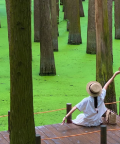 Alternative view of Du Lịch Trung Quốc: Hà Nội - Thượng Hải - Hồ Thanh Sơn - Hàng Châu - Ô Trấn - Hoàng Sơn - Hoành Thôn Cổ Trấn 6 Ngày Bay Vietravel Airlines