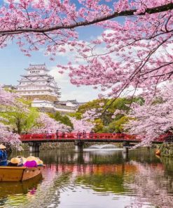Du Lịch Nhật Bản: Hà Nội - Osaka - Kobe - Kyoto - Nagoya - Phú Sĩ - Tokyo 6 Ngày Bay Vietnam Airlines