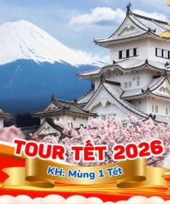 Du Lịch Nhật Bản Tết: Hà Nội - Nagoya - Nara - Osaka - Kyoto - Núi Phú Sĩ - Ngắm Hoa Anh Đào Kawazu - Tokyo 6 Ngày Bay Vietjet Air