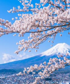 Du Lịch Nhật Bản: Hà Nội - Tokyo - Fuji.Mt - Nagoya - Kyoto - Osaka 6 Ngày Bay All Nippon Airways