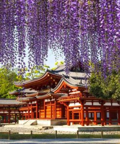 Du Lịch Nhật Bản: Hà Nội - Osaka - Nara - Phú Sĩ - Nagoya - Kyoto - Osaka 6 Ngày Bay Vietjet Air