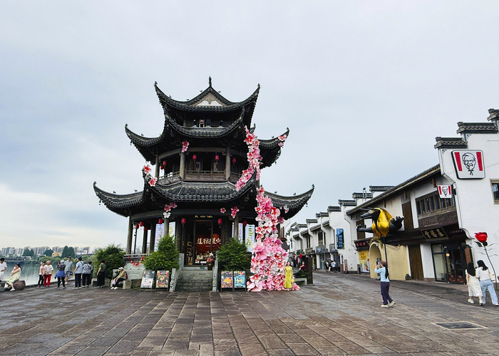 don-khe-co-tran (2)