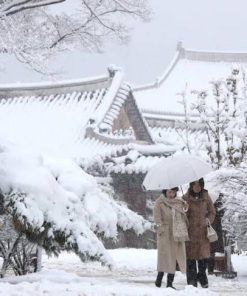 Du Lịch Hàn Quốc Mùa Đông: Hà Nội - Seoul - Namsan - Suwon - Korean Folk Village - Thư Viện - Trượt Tuyết - Sauna 6 Ngày Bay Sun PhuQuoc Airways - Ảnh 5